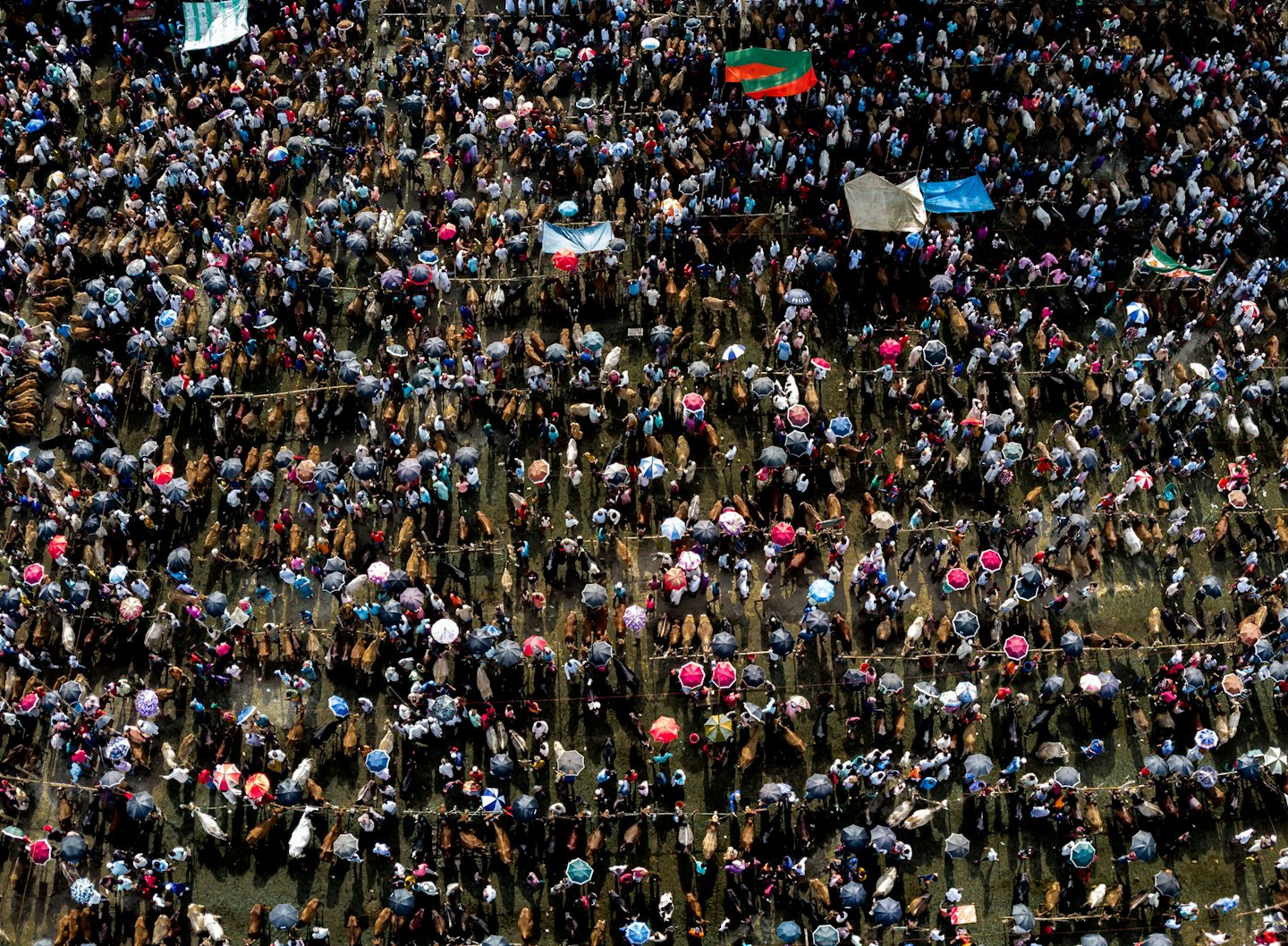 Multitud de gente y ganado en un concurrido mercado al aire libre.